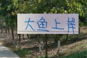 去年中超前5大鱼都上岸 北京国安是德甲大货 海港是本土标王